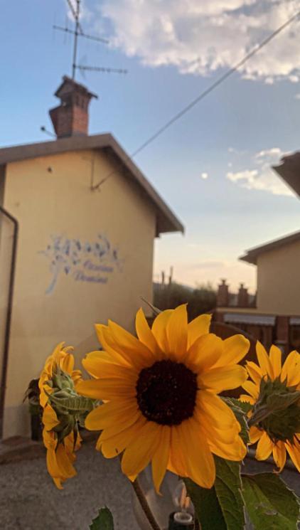 Cascina Domina Hotel Gassino Torinese Buitenkant foto